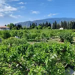 Pelion בית נופש Platanidia