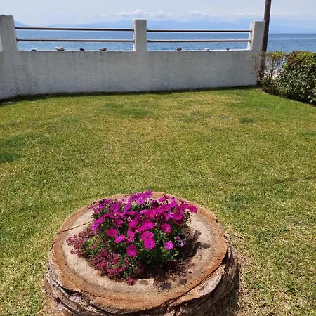 Pelion Vakantiehuis Platanidia