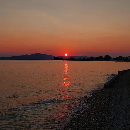 Pelion *