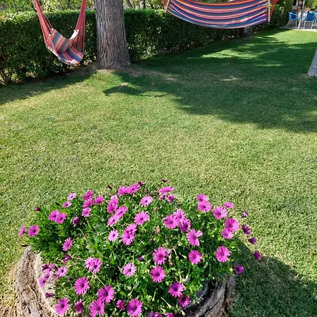 Holiday home Pelion *