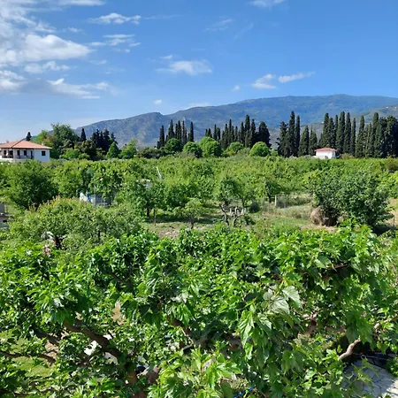 Pelion Vakantiehuis Platanidia