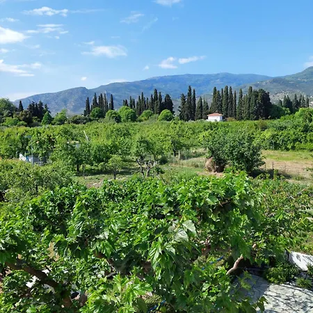 Holiday home Pelion Platanidia