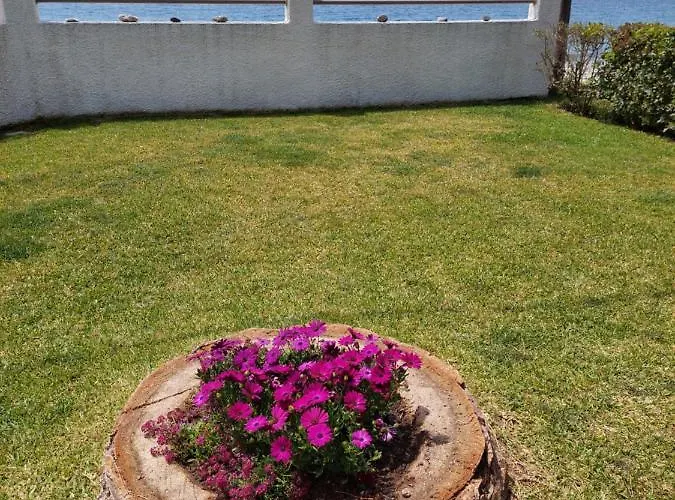 Pelion Case de vacanță Platanidia