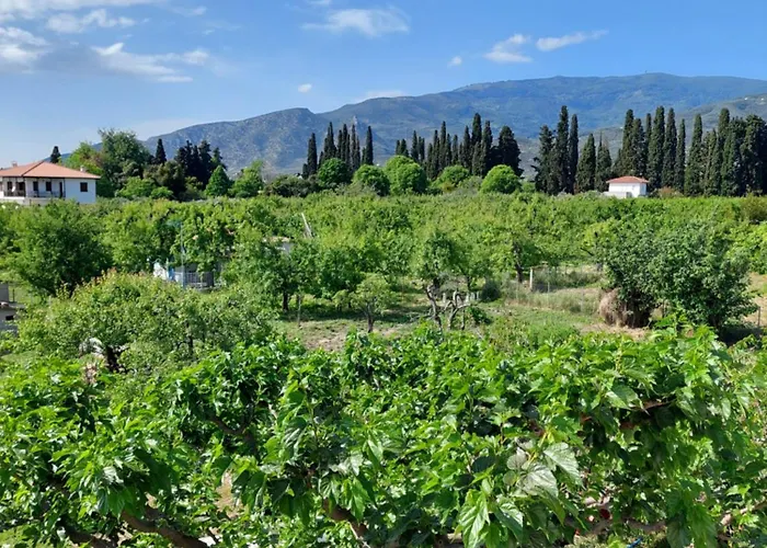 Pelion Case de vacanță Platanidia