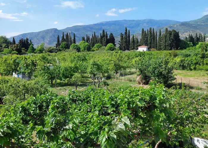 Holiday home Pelion Platanidia